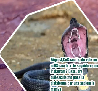 A partir de cuantos seguidores cobras en instagram