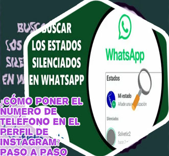 Como buscar un contacto de whatsapp en instagram
