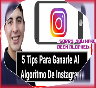 Como tener bastantes seguidores en instagram