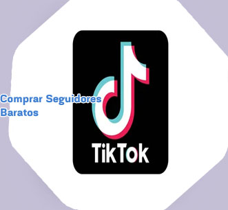 Seguidores baratos tiktok