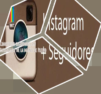 Seguidores instantaneos instagram